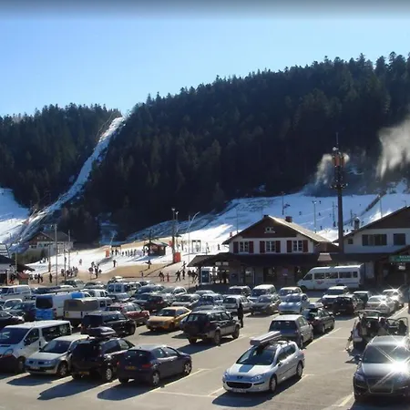 Accueillant A 31 M² Avec Vue Montagne * Gérardmer