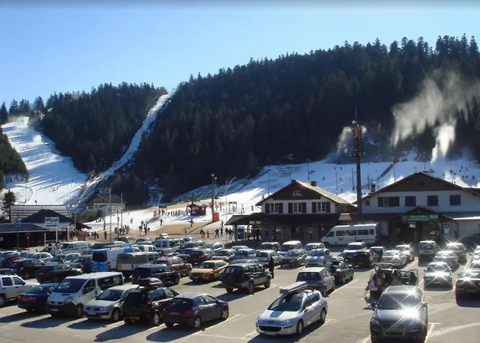 Accueillant A 31 M² Avec Vue Montagne * Gérardmer